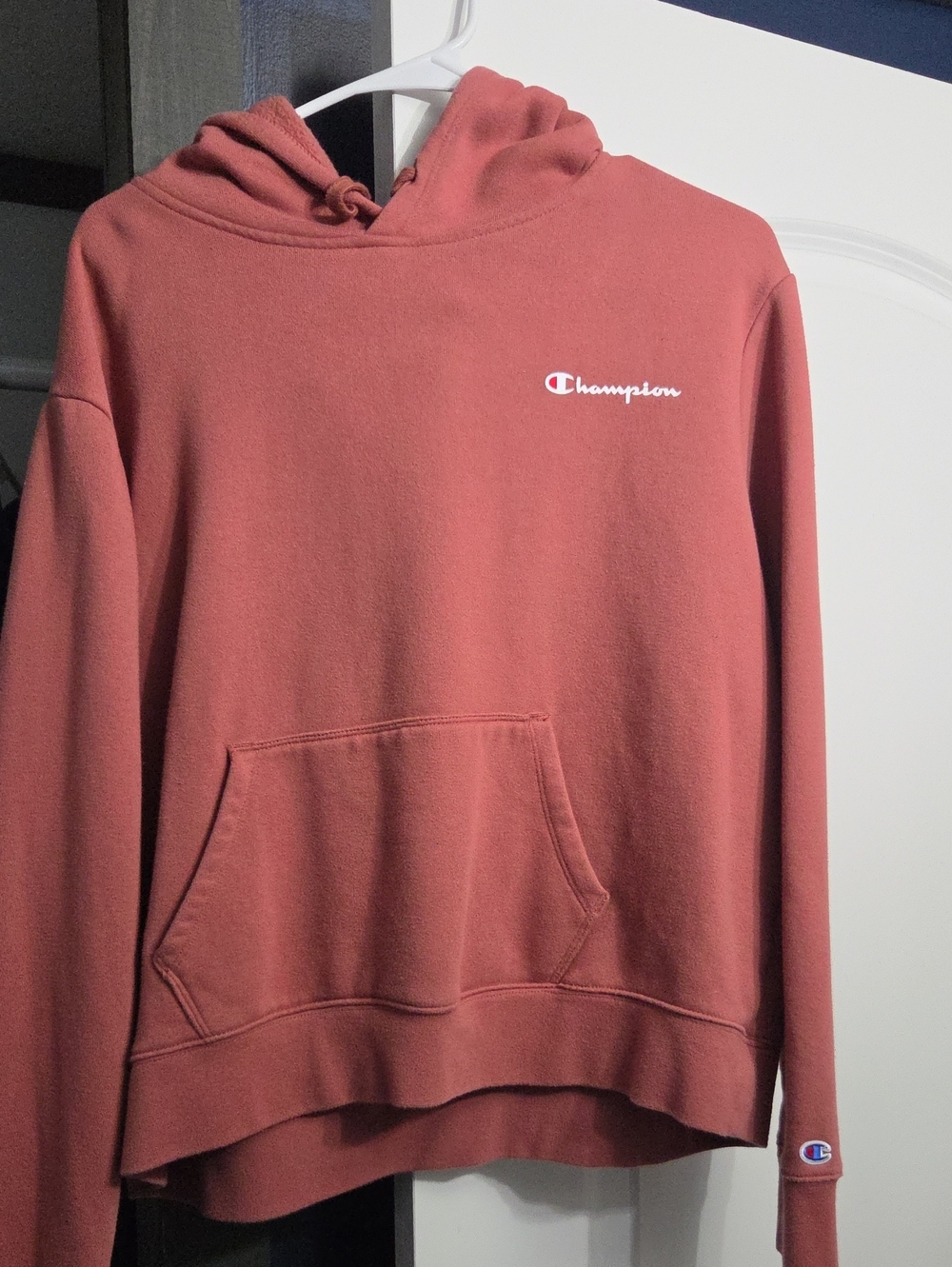 Champion Dusty Rose Pullover Hoodie